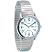 Timex Mens Indiglo Low Vision Watch Exp Band