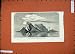 1871 VOLCANIC ERUPTION ISLAND CAMIGUIN PHILIPPINES BOAT
