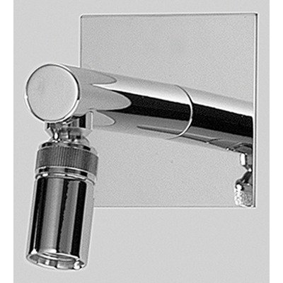 Gyro Swivel Shower Head Polished Chrome