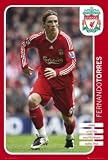 Liverpool FC - Fernando Torres 08/09 - Maxi Poster - 61 cm x 91.5 cm