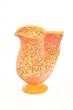 Bird Pitcher