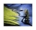 Telfes, Tyrol, Austria by Unknown. Size 15.97 inches width by 12.41 inches height. High Quality Art Poster Print
