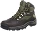 Timberland Men's 15130 Chocurua Trail GTX Boot,Brown/Brown,9.5 M