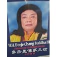 A Treasury of True Buddha-Dharma H.H. Dorje Chang Buddha III by  H.H. Dorje Chang Buddha III and Editorial Staff International Buddhism Sangha Association and International Buddhism Sangha Association