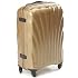 bagages dans les avions Samsoni