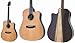 TAKAMINE Cooder TCP-620CS/NAT/Zbgt GARM^[