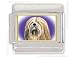 LHASA APSO Dog Italian Charm