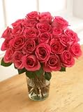 Two Dozen Pink Passion, Eco-Friendly - Veriflora Certified, Pink Rose Bouquet