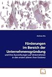 Förderungen im Bereich der Unternehmensgründung: und ihre Auswirkungen auf Unternehmen in den ersten Jahren ihrer Existenz