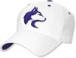 Washington Huskies White One-Fit Hat