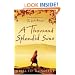 A Thousand Splendid Suns