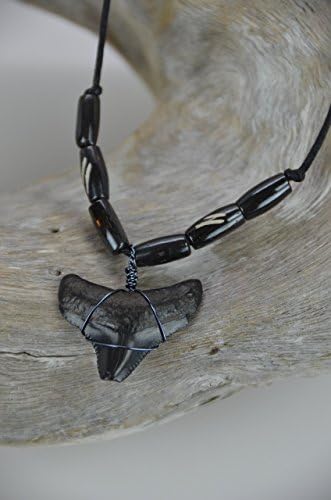 Megalodon Shark Tooth Necklace