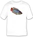 T-shirt with fish, dvarggurami, aquarium, animal