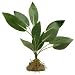 WATER WONDERS 14" SILK CARDINAL PLANT