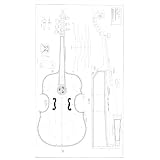 2 Bass Viol, by Gasparo da Salo