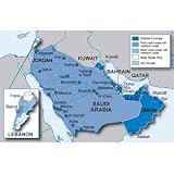 Garmin Middle East NT n�Maps Update on DVD
