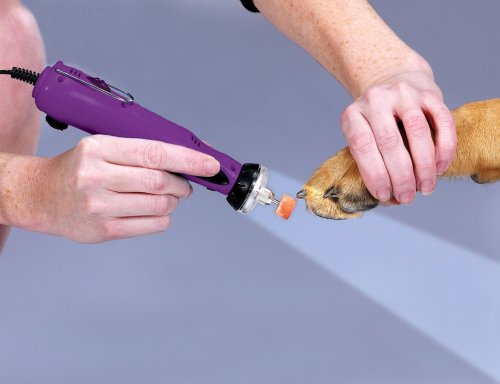 Illumi-Nail: Illuminated Nail Grinder Kit