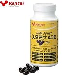 ���N�̗͌����� KENTAI ���K�p���[ �X�^�~�i�G�[�X ACE �r�^�~��E 120��