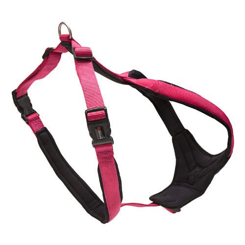 Wolters Cat&Dog Professional Comfort 62568 Geschirr Gr.7 90-110cm x 35mm himbeer/schwarz Preisvergleich