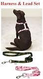 GREEN - MEDIUM - Adjustable Camo Dog HARNESS AND LEAD SET
