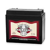 Twin Power High Performance Sealed 12V14-B Battery for 1996-1998 Buell Models by Twin Power