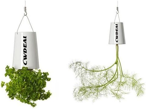 Cwdeal Sky Planter Flower Pot Garden Upside-Down Hanging Planter+Free gift