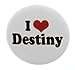 A&T Designs Unisex - I Love Destiny 1.25