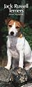 Jack Russell Terriers 2008 Slimline Calendar (German, French, Spanish and English Edition)