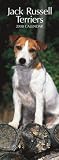 Jack Russell Terriers 2008 Slimline
