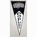 San Antonio Spurs NBA Classic Pennant (17.5x40.5)