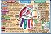 Health & Personal Care : Helion Communications - Palmistry - Wallet Cards