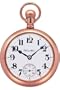 Hamilton Unisex Pocket Watch watch #H51449013