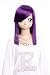 CosplayerWorld Gundam 00 Tieria¡¤Erde Wig 34cm 13inch Cosplay Wig Fashion Girls and Boys Anime Wig