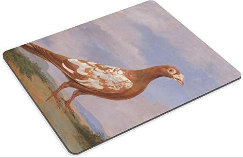 MSD Mouse Pad Dean Wolstenholme Red Pied Carrier Google Art Project Customized Desktop Laptop Gaming Mousepads