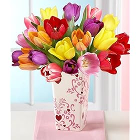 20 Multi-Colored Valentine's Tulips