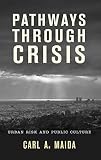 Pathways through crisis : urban risk and public culture