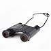 Swarovski 10x25B-P Pocket Binoculars