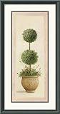 IMAGE OF Topiary Ball II Framed Art Print by Welby, 13.21 in. x 25.21 in. Framed