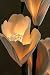 The Light Garden NE-LRGMAG Natural Elements Lighted Large Magnolia Flowers with 20 Bulbs, 38-Inch Tall