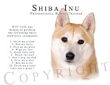 Shiba Inu Human Trainer Mouse Pad Dog Mousepad