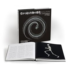 骨から見る生物の進化