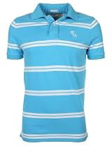 Abercrombie & Fitch Mens Polo Shirt Striped Sky Blue