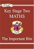 KS2 Maths: The Important Bits (Study Books)