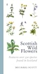 Scottish Wild Flowers