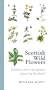 Scottish Wild Flowers