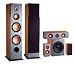 Acesonic SP-510 5.1 Surround Sound Speaker System