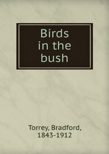 Birds in the Bush