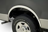 Putco (04-07) Ford F150 Fender Trim - Full