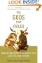 The Gods that Failed: How Blind Faith in Markets Has Cost Us Our Future
