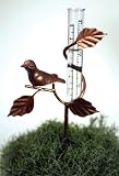 Decorative Bronze Metal Bird Rain Gauge